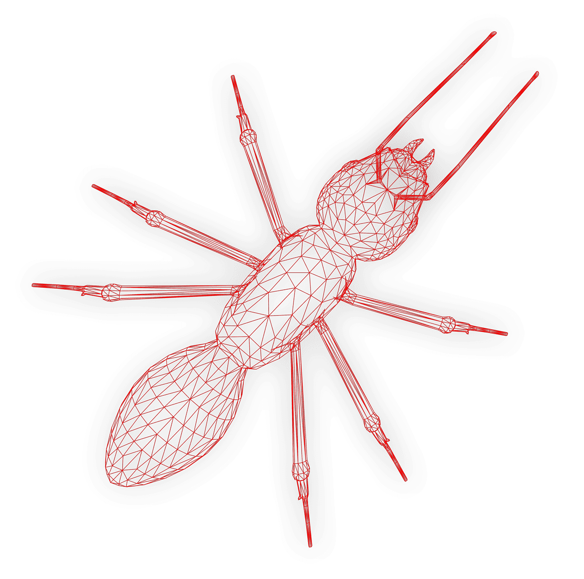 Ant-wireframe