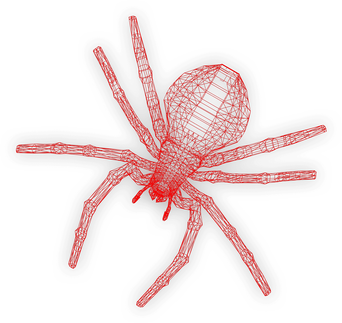 Spider-wireframe